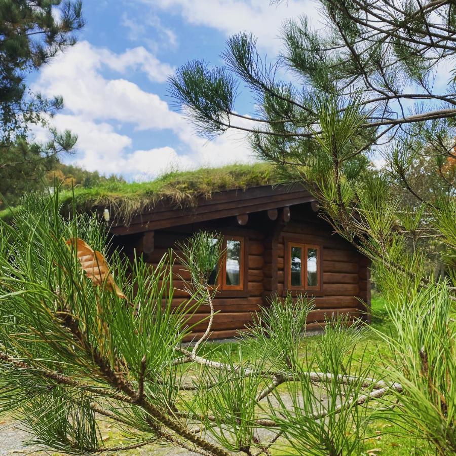 5 Central Hotels Near Laurel and Hardy Museum Worth Booking