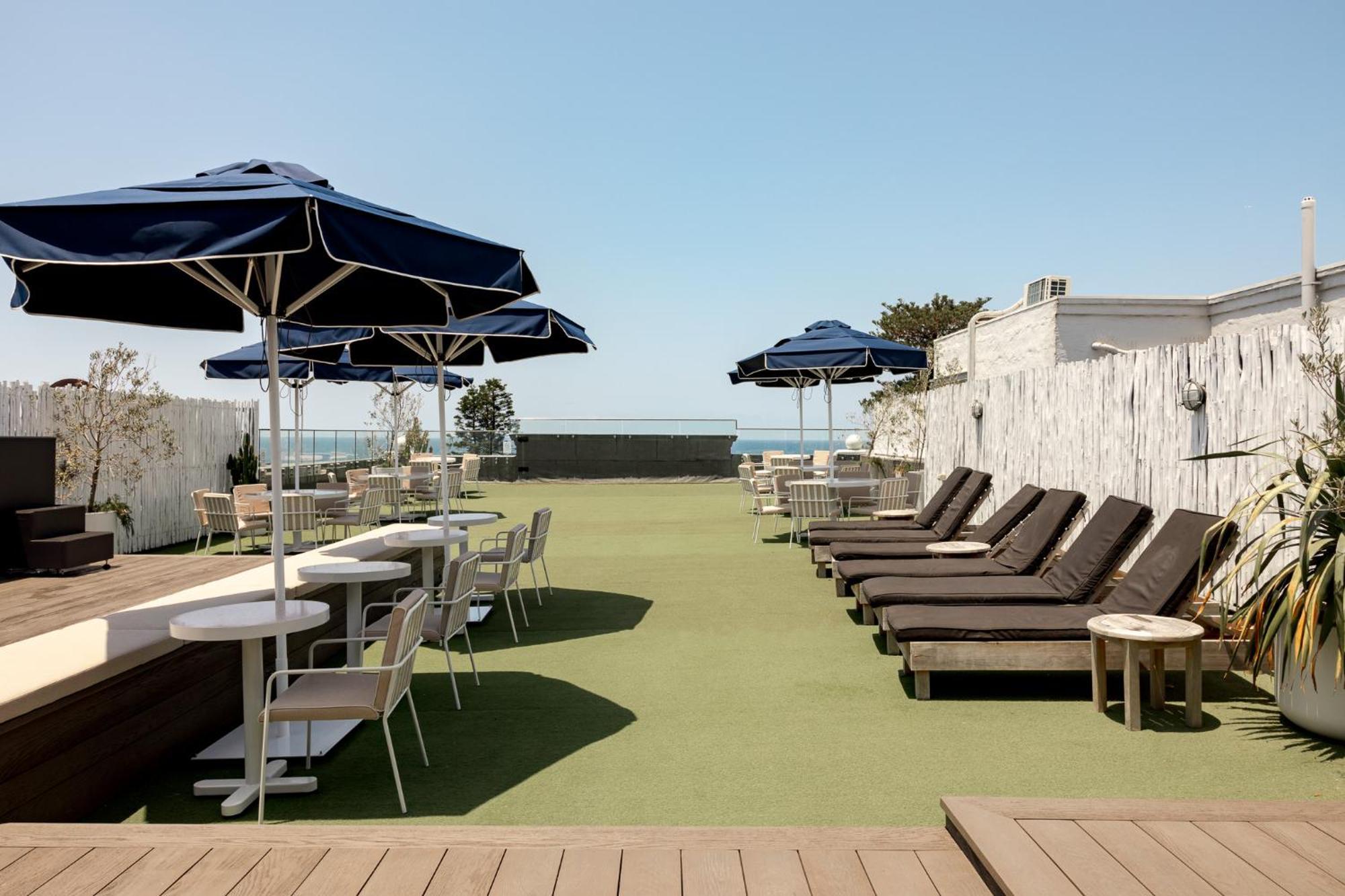 4 Budget Hotels in Sydney Eastern Suburbs Worth Booking